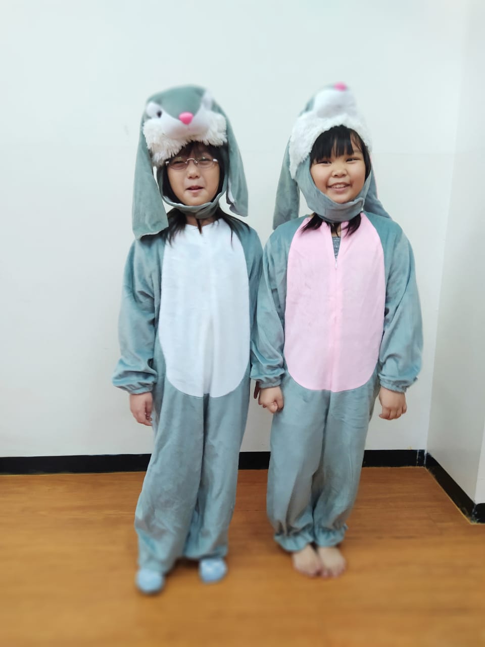 Jual Kostum Kelinci Anak Lucu untuk Pawai & Karnaval